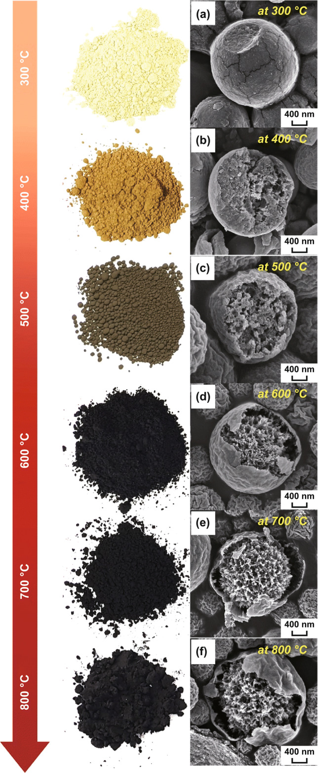 Fig. 1