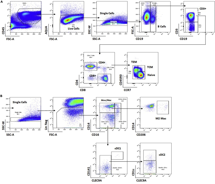 Figure 3