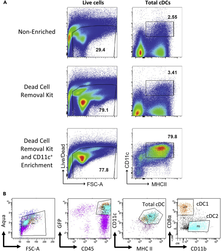 Figure 2