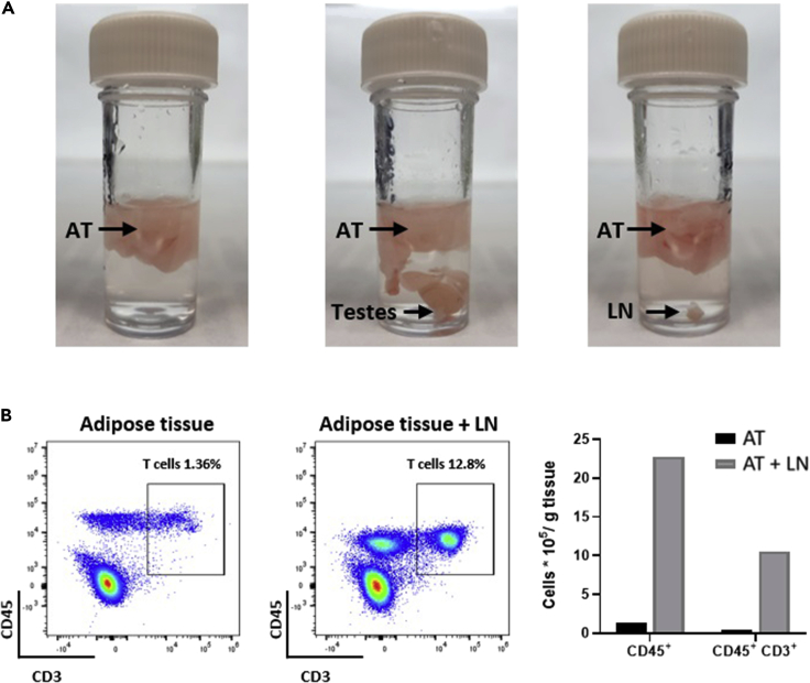 Figure 4