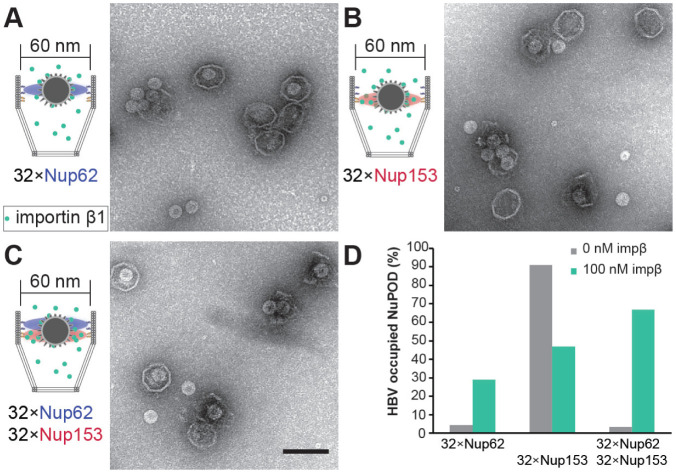 Figure 5: