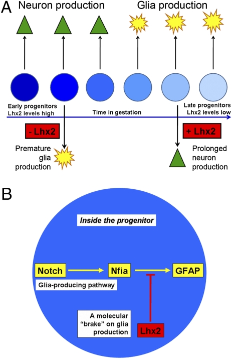 Fig. P1.