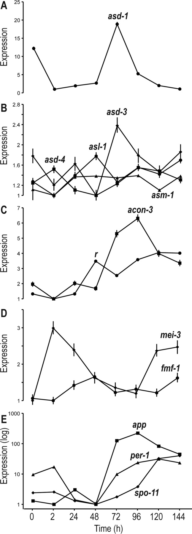 FIG 3