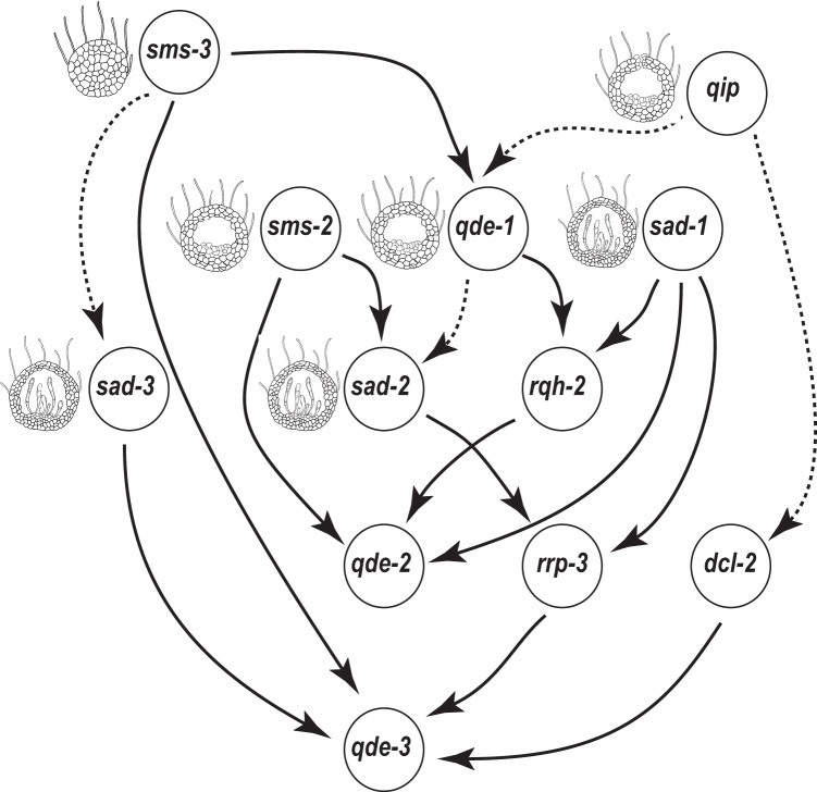 FIG 8