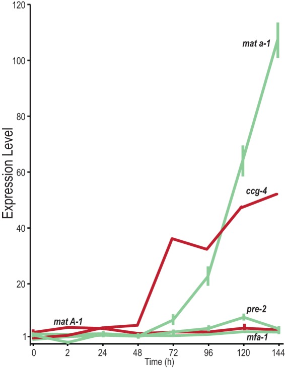 FIG 6