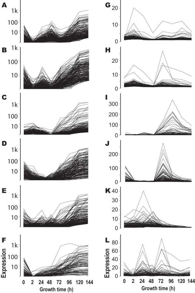 FIG 2