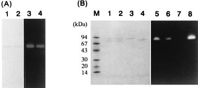 FIG. 5