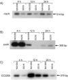 FIG. 6.