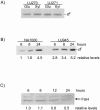 FIG. 4.