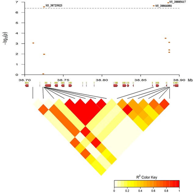 Figure 10