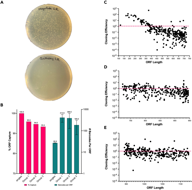 Figure 2