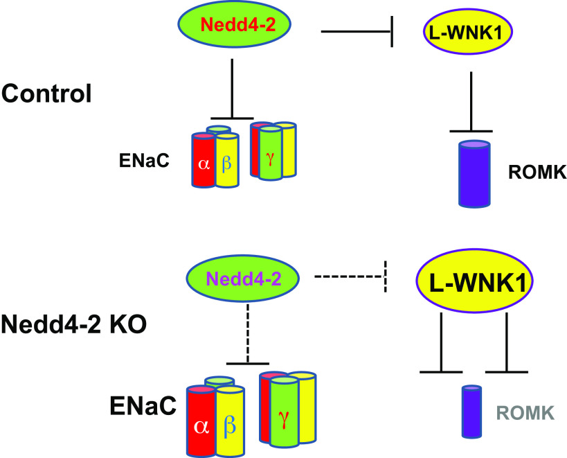 Figure 9.