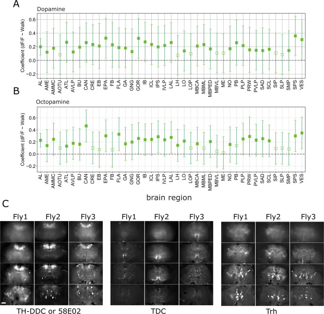 Figure 3—figure supplement 1.