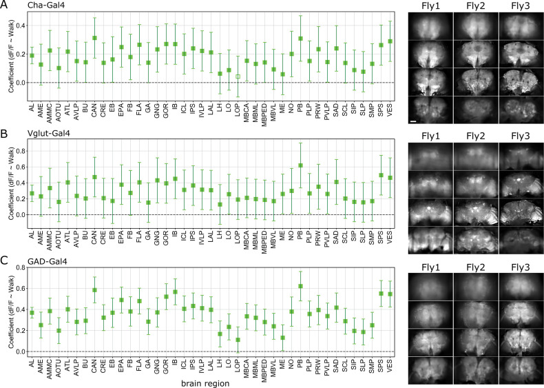 Figure 2—figure supplement 1.