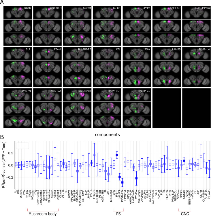 Figure 5—figure supplement 1.