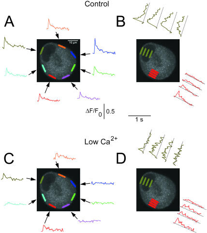 FIGURE 11