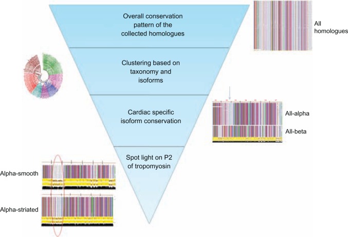 Figure 11.