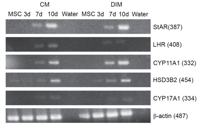 Figure 6.