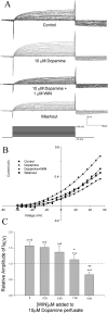 Fig. 8