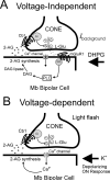 Fig. 11