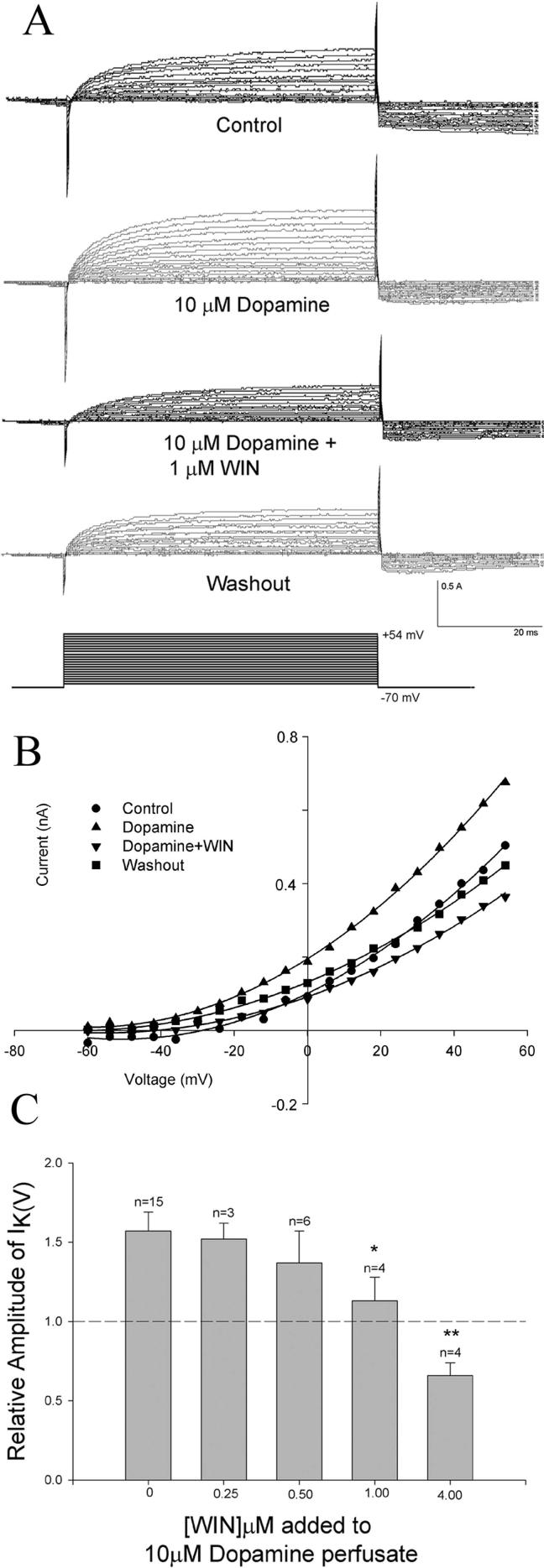 Fig. 8