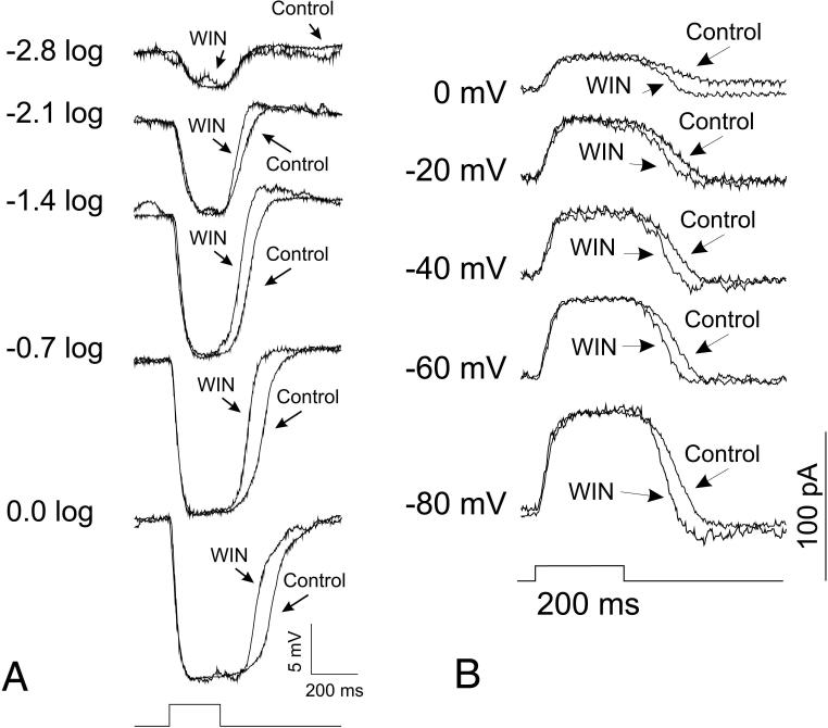 Fig. 12