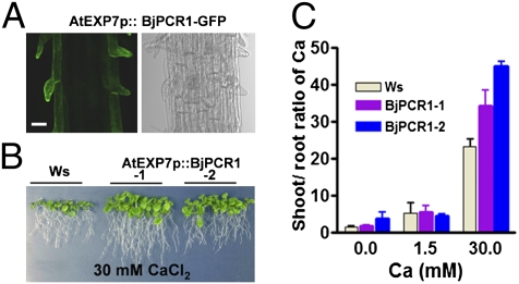 Fig. 4.