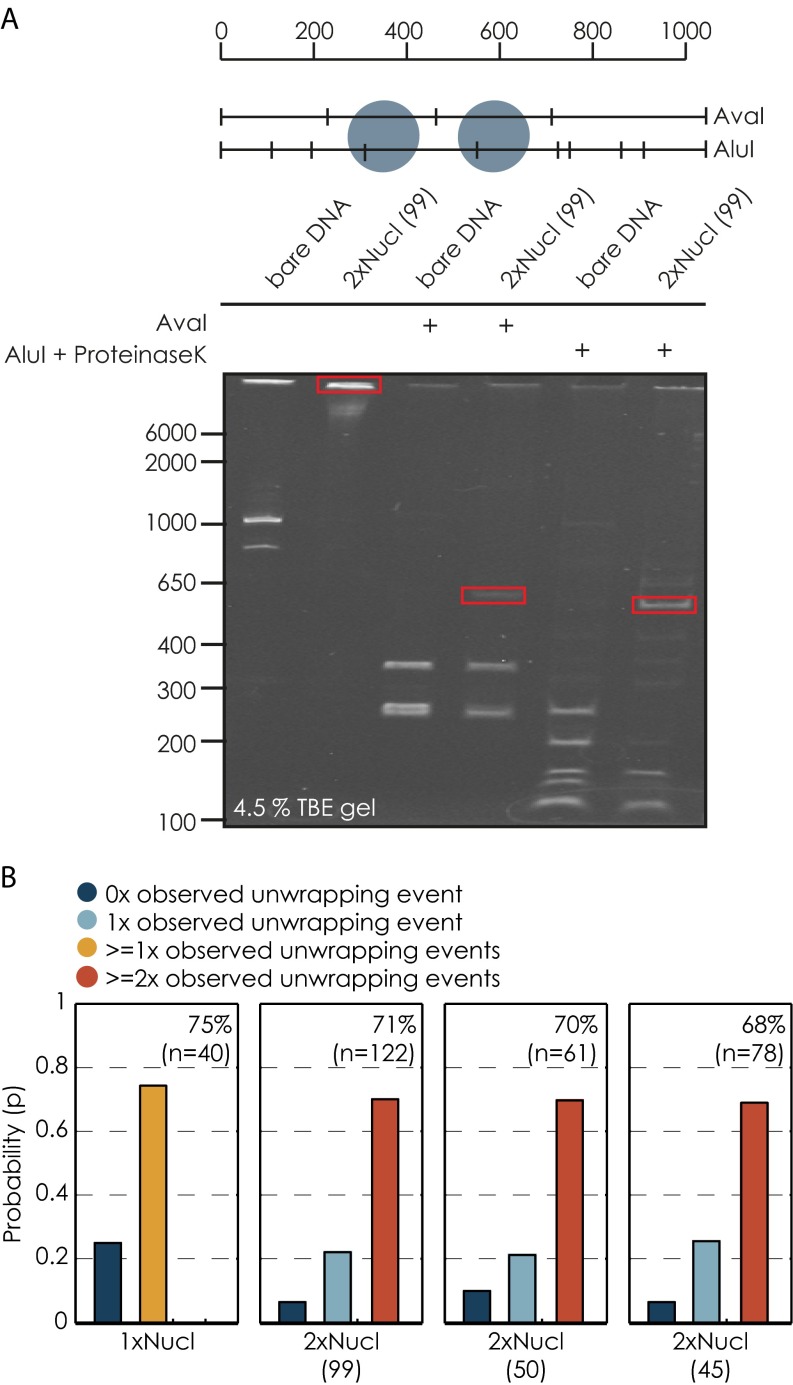 Fig. S1.