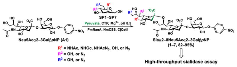 Scheme 1