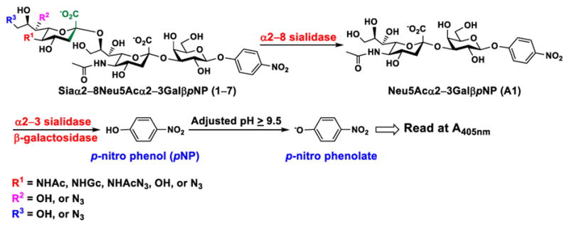 Scheme 2