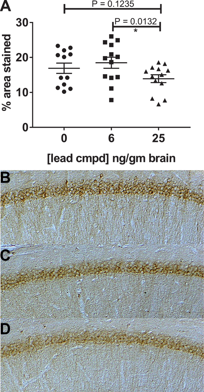 Fig.6