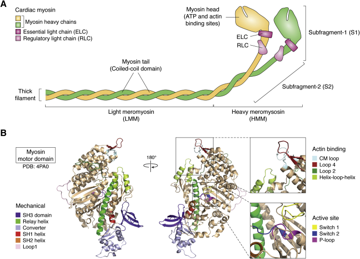 Figure 1