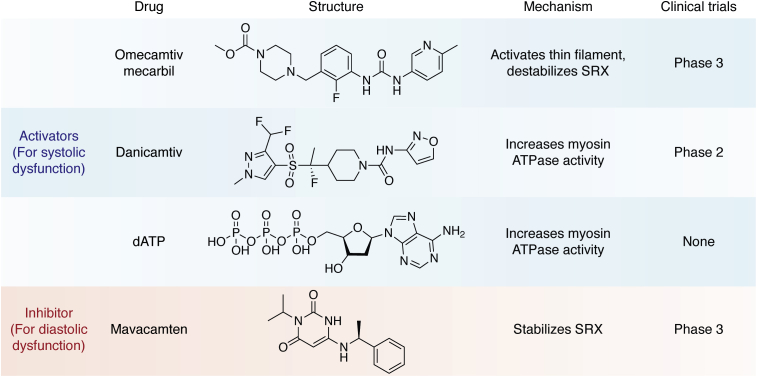 Figure 4