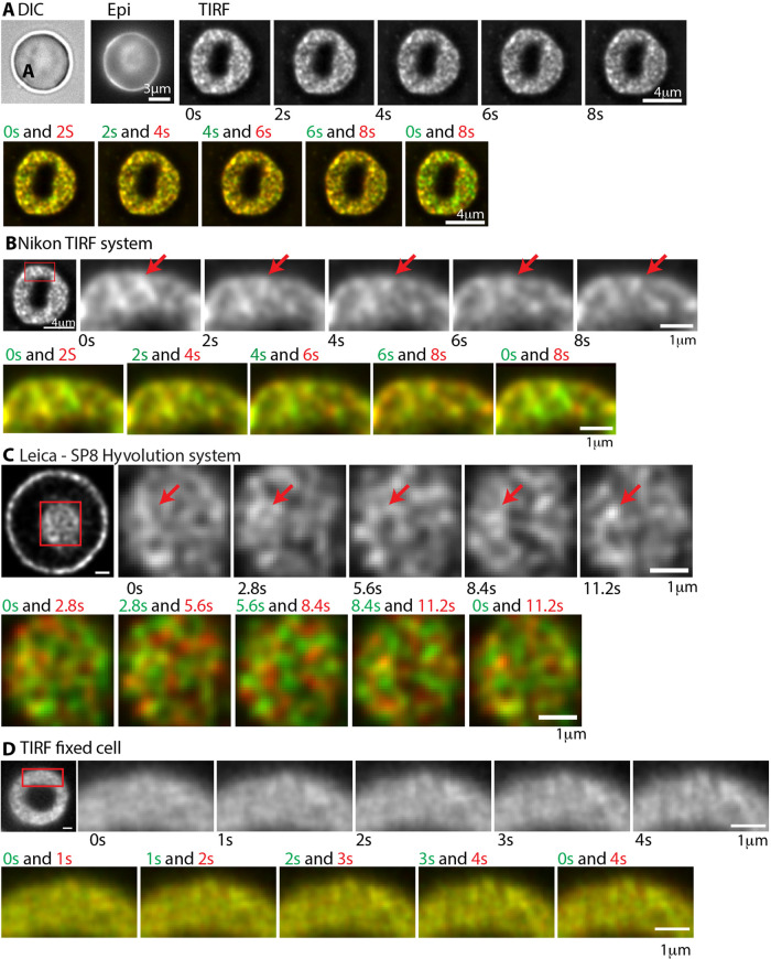 FIGURE 5: