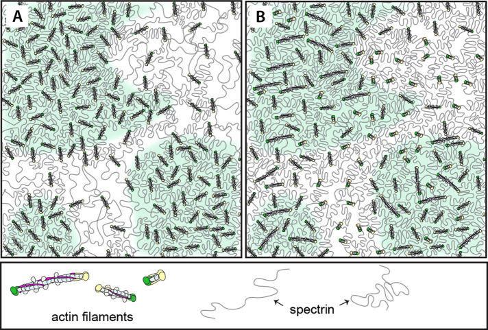 FIGURE 6: