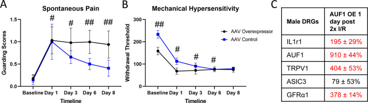 Figure 7: