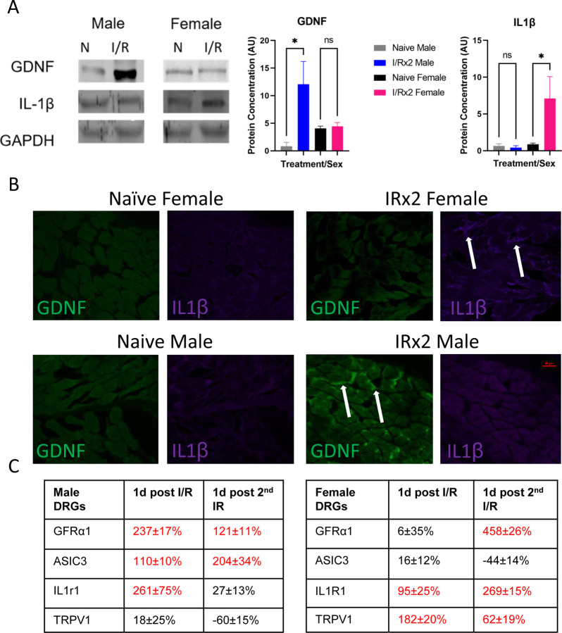 Figure 2: