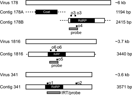 FIG. 1.