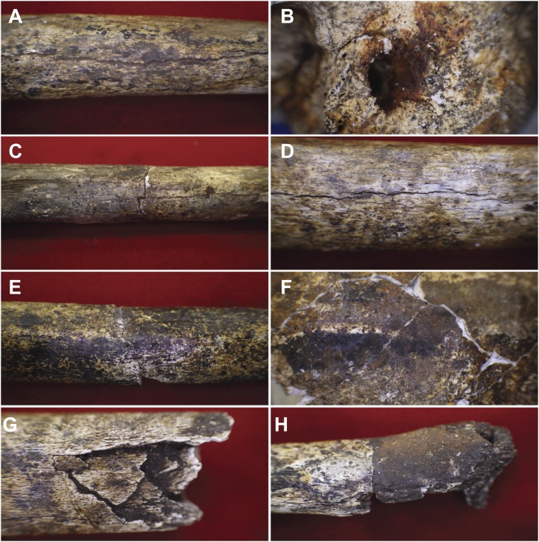 Figure 10.