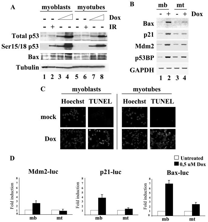 FIG. 7.