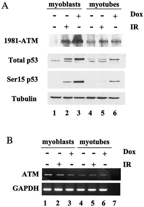 FIG. 8.