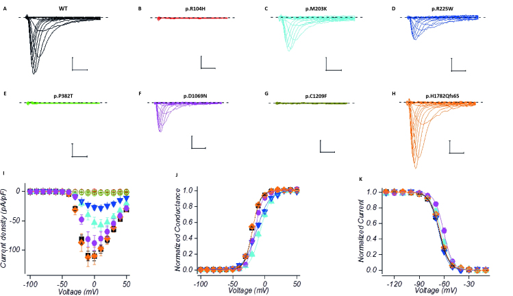 graphic file with name awv352fig1g.jpg