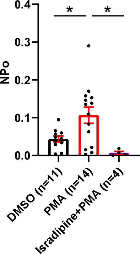 Figure 3—figure supplement 1.