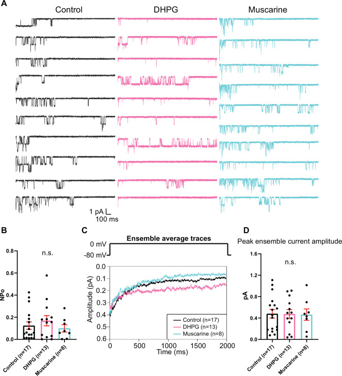 Figure 2—figure supplement 1.