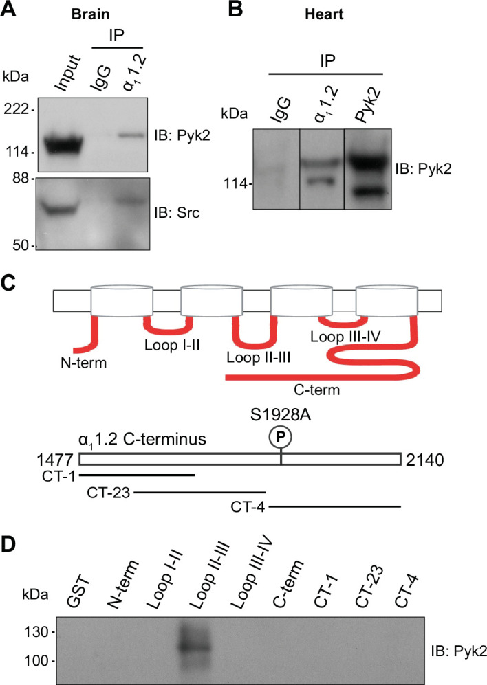 Figure 7.