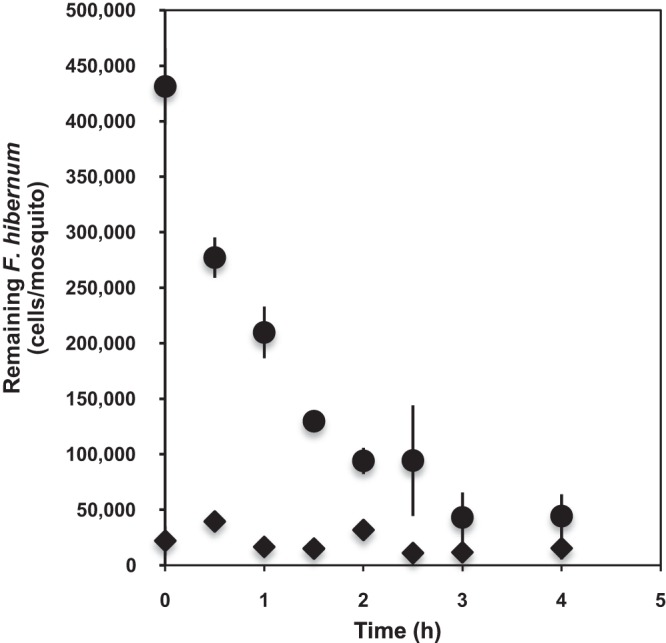 FIG 6