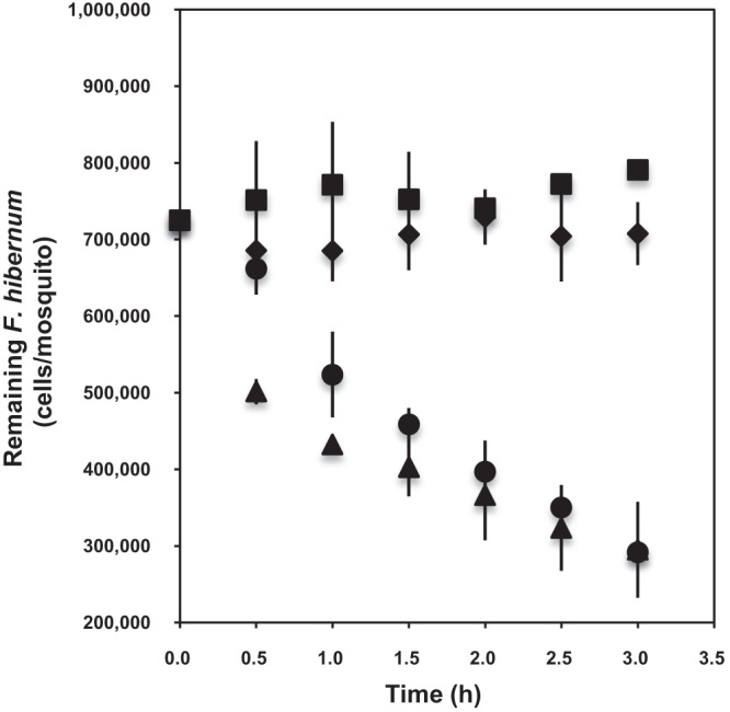 FIG 4