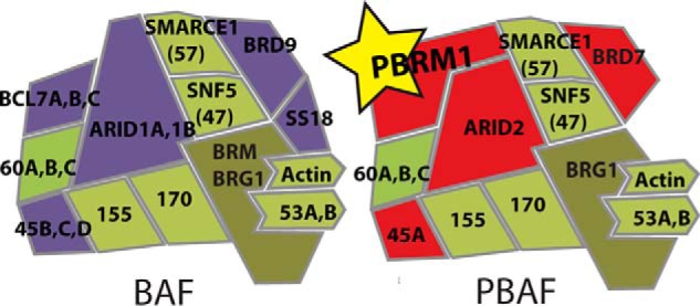 FIGURE 1.