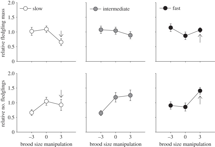 Figure 2.