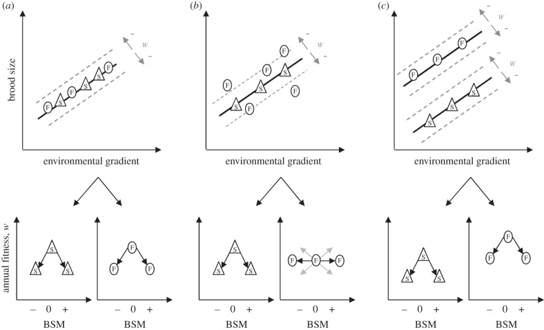 Figure 1.